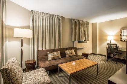 The Inn of Chicago - image 4