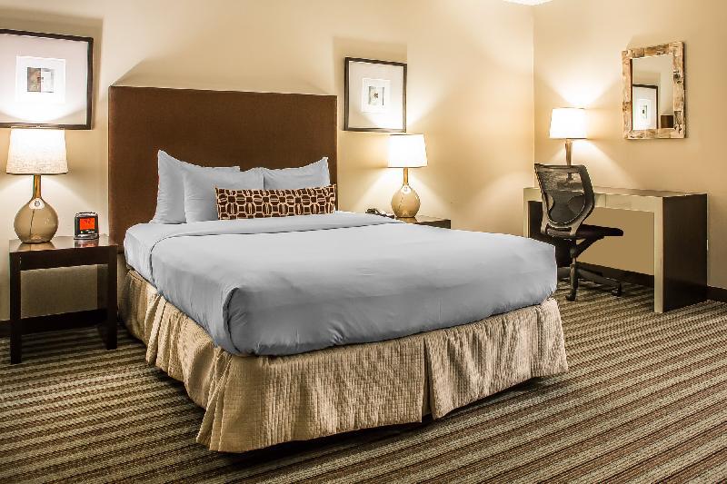 The Inn of Chicago - image 5