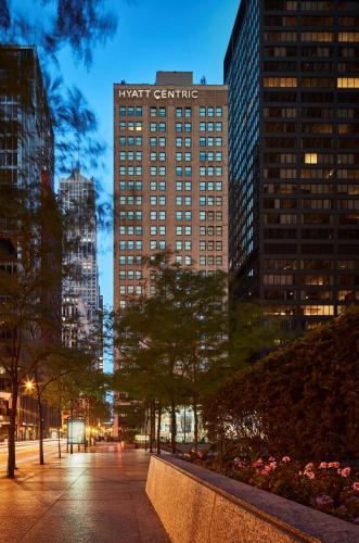 Hyatt Centric The Loop Chicago - image 4