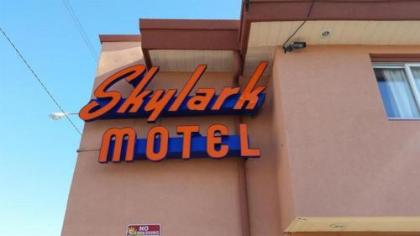 Skylark Motel in Chicago