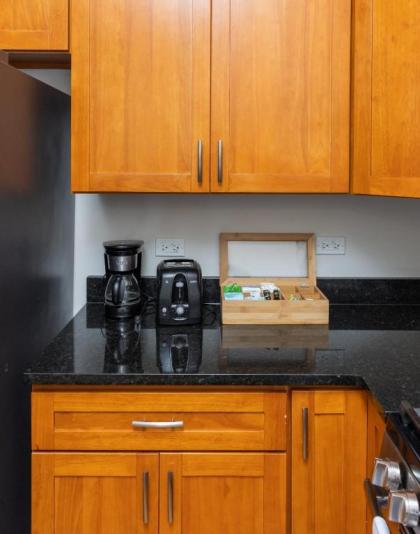 Updated Wicker Park 3BR with W&D by Zencity - image 18