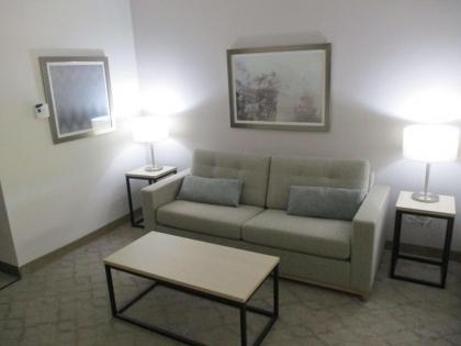 Best Western Plus Chickasha Inn - image 3