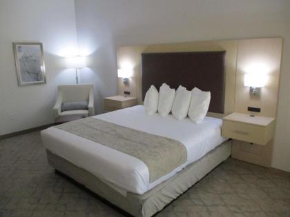 Best Western Plus Chickasha Inn - image 9
