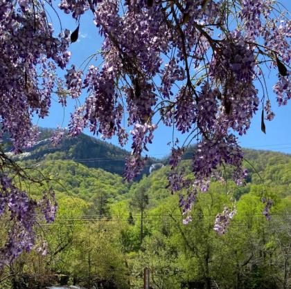 Hickory Falls Guesthouse - image 14