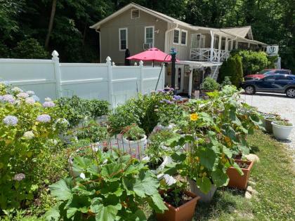 Hickory Falls Guesthouse - image 15