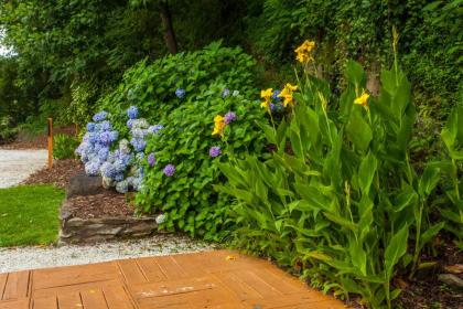 Hickory Falls Guesthouse - image 4