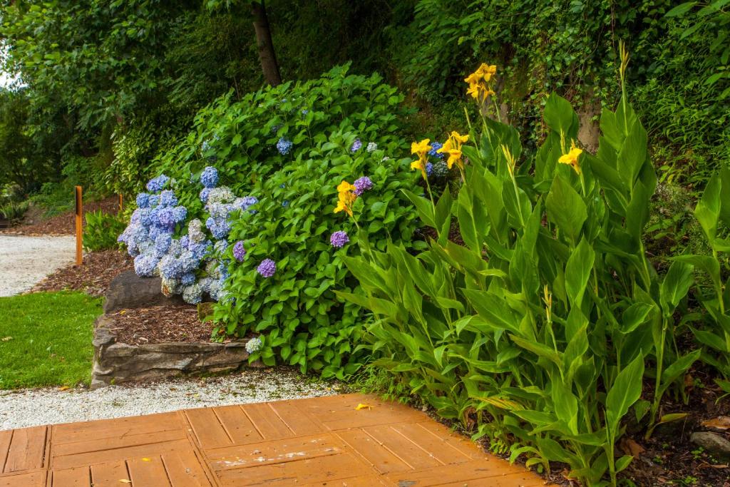 Hickory Falls Guesthouse - image 4