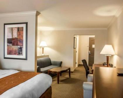 Comfort Suites Cincinnati North - image 3