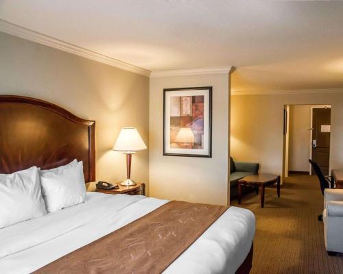 Comfort Suites Cincinnati North - image 4