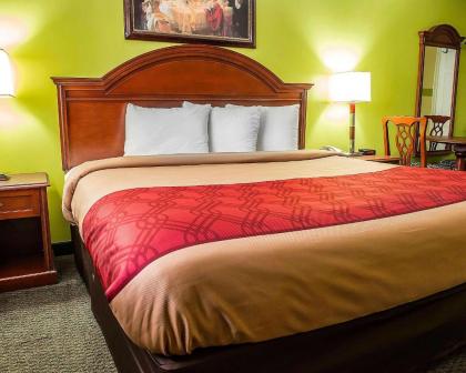 Econo Lodge Jefferson Hills Hwy 51 - image 8