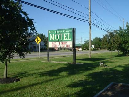 Fels Three Crown Motel - image 6