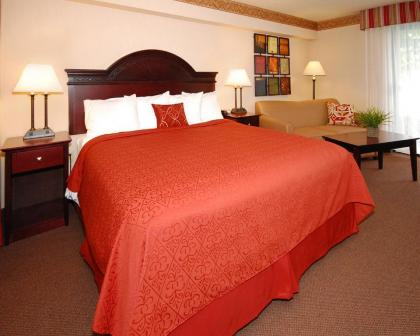 Holiday Inn - Clarkston - Lewiston an IHG Hotel - image 6