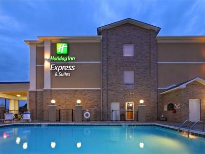 Holiday Inn Express Hotel & Suites Clarksville - image 21