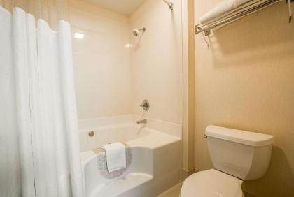 Quality Inn & Suites Mount Chalet - image 8