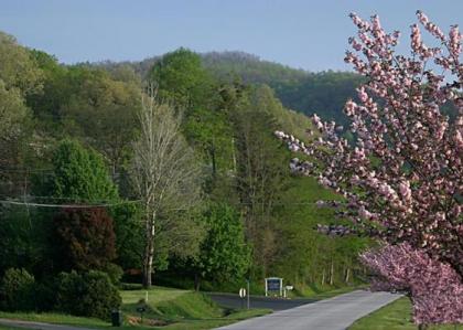 Mountain Aire Cottages & Inn - image 3