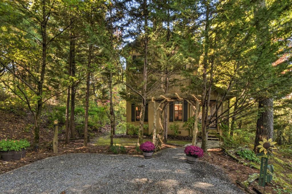 Unique Nature Lovers Haven Fire Pit and BBQ! - image 7