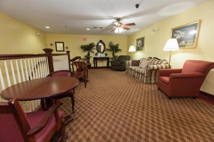 Douglas Inn & Suites - image 4