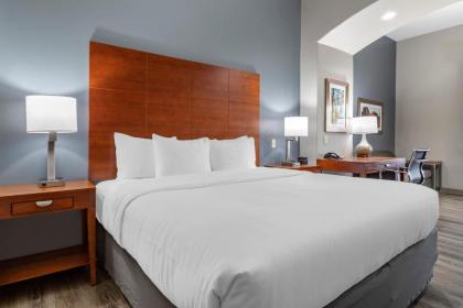 Comfort Inn & Suites - image 12