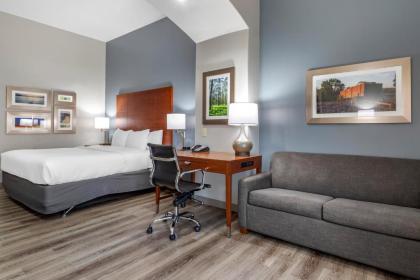 Comfort Inn & Suites - image 13
