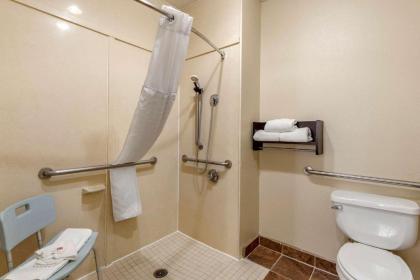Comfort Suites - image 11
