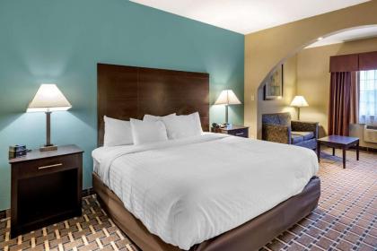 Comfort Suites - image 12
