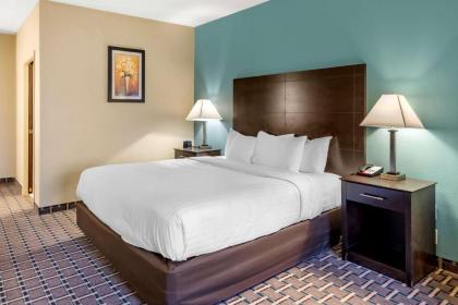 Comfort Suites - image 13