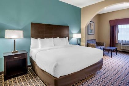 Comfort Suites - image 8