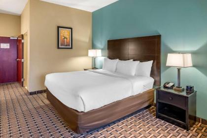 Comfort Suites - image 9
