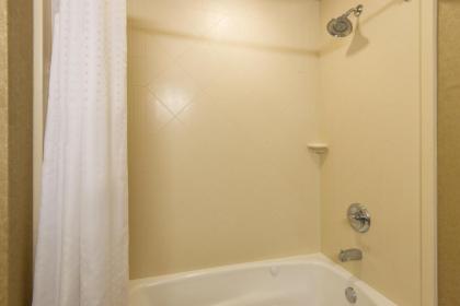 Holiday Inn Express & Suites Clovis an IHG Hotel - image 2