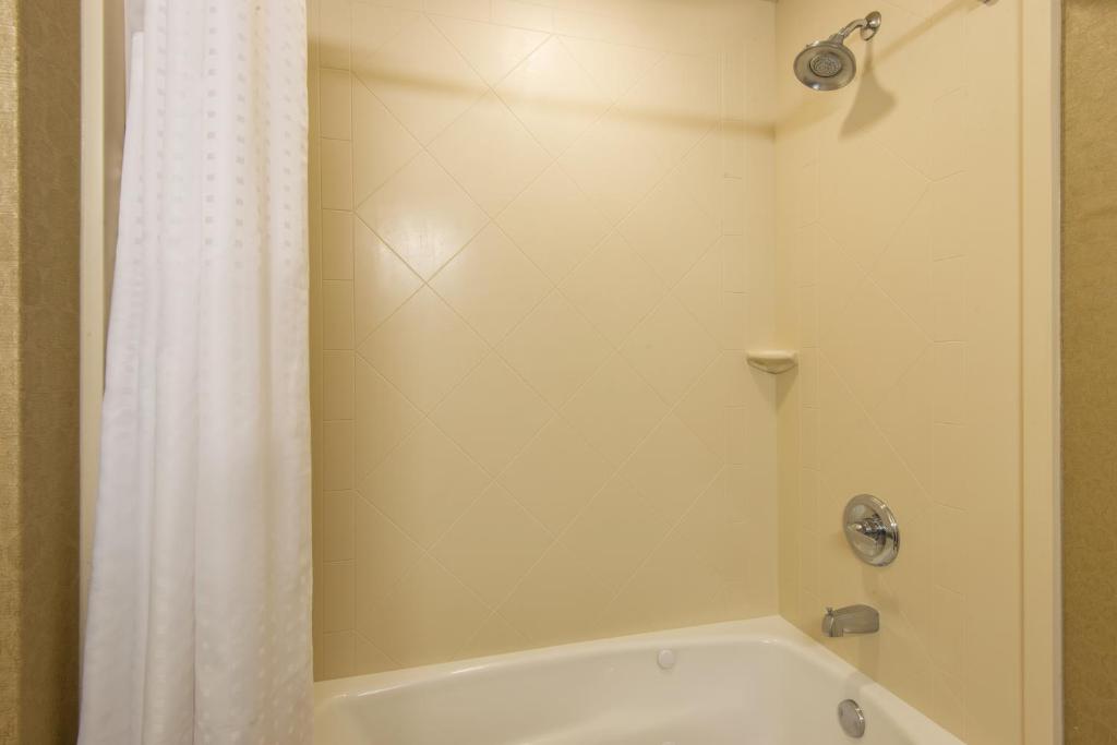 Holiday Inn Express & Suites Clovis an IHG Hotel - image 2