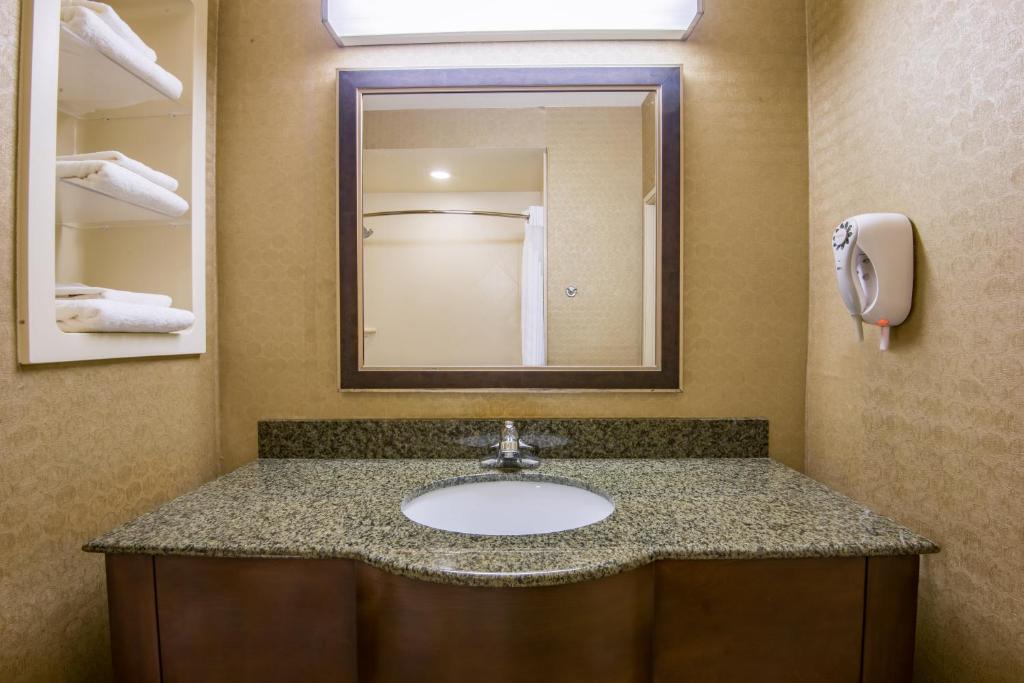 Holiday Inn Express & Suites Clovis an IHG Hotel - image 3