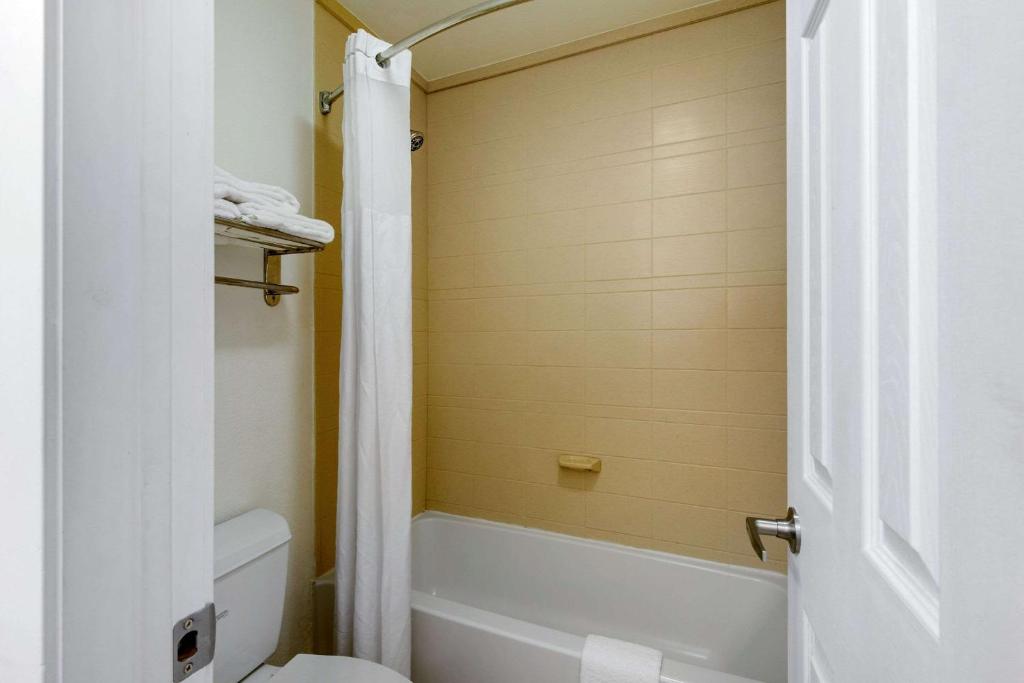 Quality Inn Clute Freeport - image 5