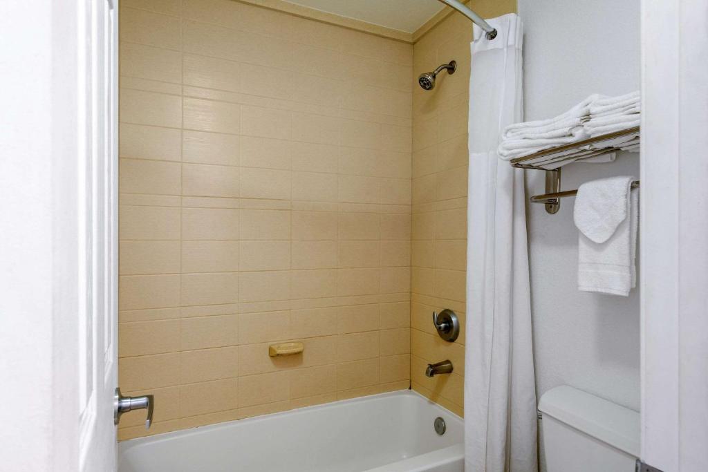 Quality Inn Clute Freeport - image 6