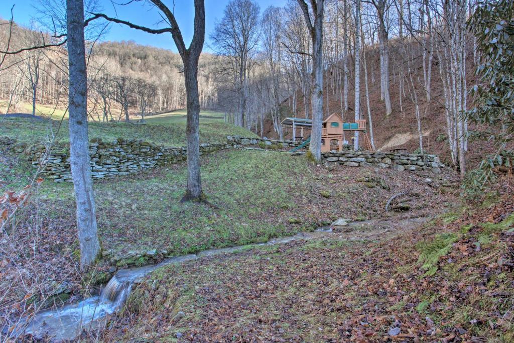 Turkey Creek Cove Cabin in Clyde with Fire Pit - main image