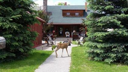 the molesworth House Wyoming