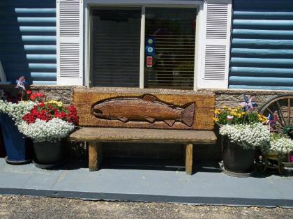 Toiyabe Motel - image 6