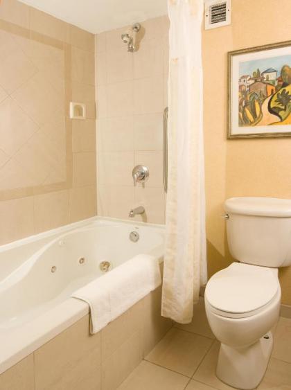 Hilton Garden Inn Atlanta Airport/Millenium Center - image 11
