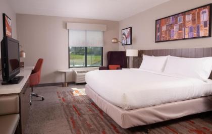 Hilton Garden Inn Atlanta Airport/Millenium Center - image 14