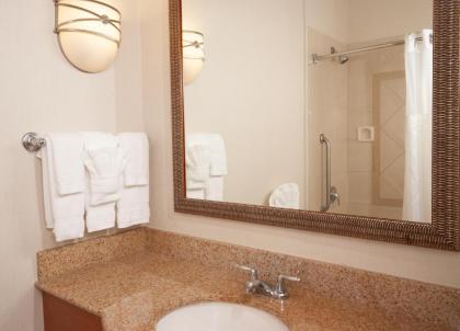 Hilton Garden Inn Atlanta Airport/Millenium Center - image 17