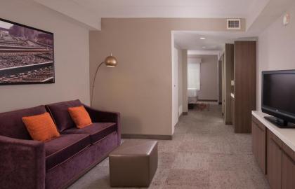 Hilton Garden Inn Atlanta Airport/Millenium Center - image 9