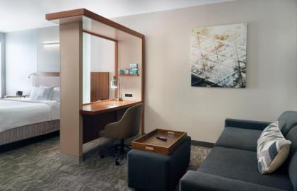 SpringHill Suites by Marriott Atlanta Airport Gateway - image 13