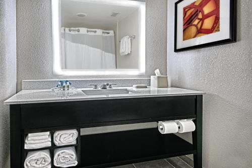 Holiday Inn & Suites College Station-Aggieland an IHG Hotel - image 3