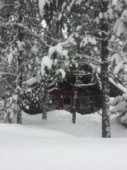 Reclusive Moose Cabins - image 10
