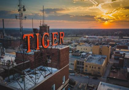 The Tiger Hotel