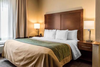 Comfort Inn Lancaster County - image 10