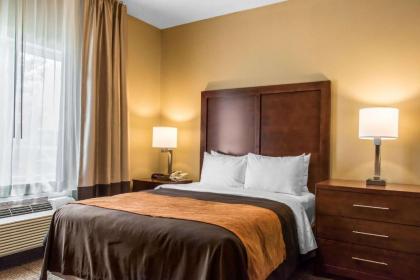 Comfort Inn Lancaster County - image 12