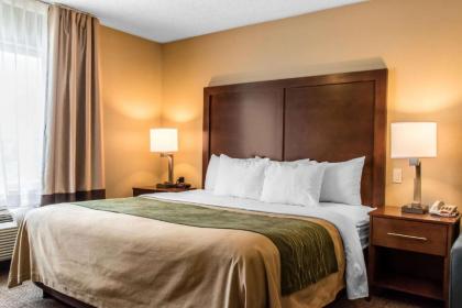 Comfort Inn Lancaster County - image 15