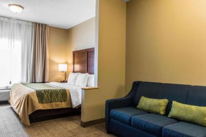 Comfort Inn Lancaster County - image 2