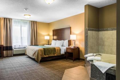 Comfort Inn Lancaster County - image 3