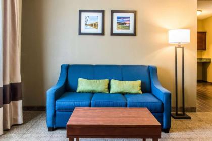 Comfort Inn Lancaster County - image 5